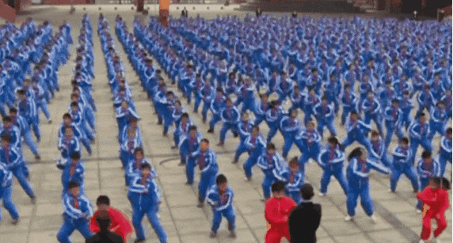 6.gif